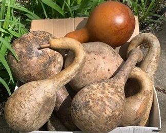 Lot 623 | VINTAGE GOURD COLLECTION
