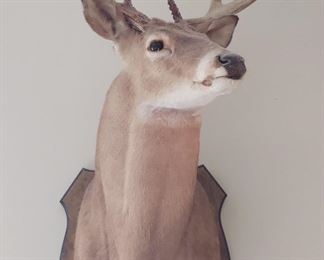 Otis The Deer