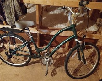 Townie Bicycle Ladies