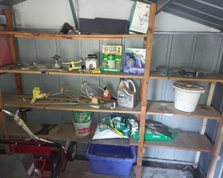 Lawn and garden along back wall