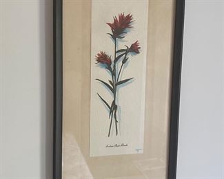 Indian Paint Brush by Crandall