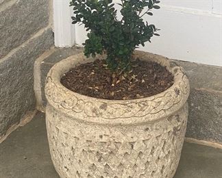 Concrete Planter