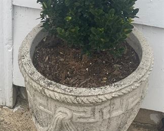 Concrete Planter