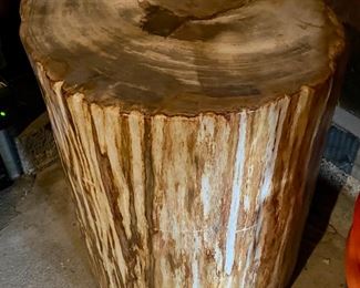 Authentic Solid Petrified Wood Stool / Accent Piece