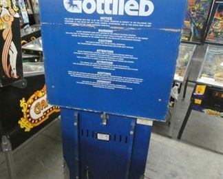 BACK VIEW GOTTLIEB PINBALL MACHINE 