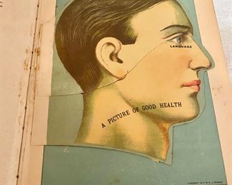 Additional photo of colored diagrams