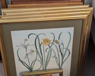 Various Artwork and prints