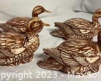 w1971 mallard duck boxes531 t