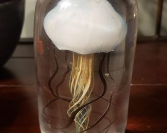 This cute jellyfish paperweight reminds me of the Tamagotchi toys my kids used to have