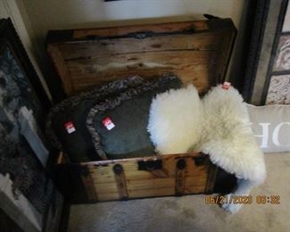 Trunk, pillows and fur rug