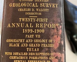 1899 Geological survey annual report