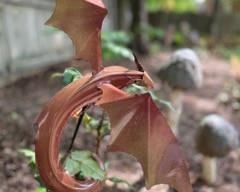 Beautifully sculpted metal dragon