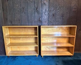 MCM bookshelves