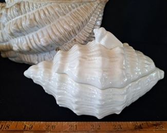Shell decor