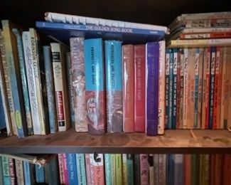Large selection of vintage books.