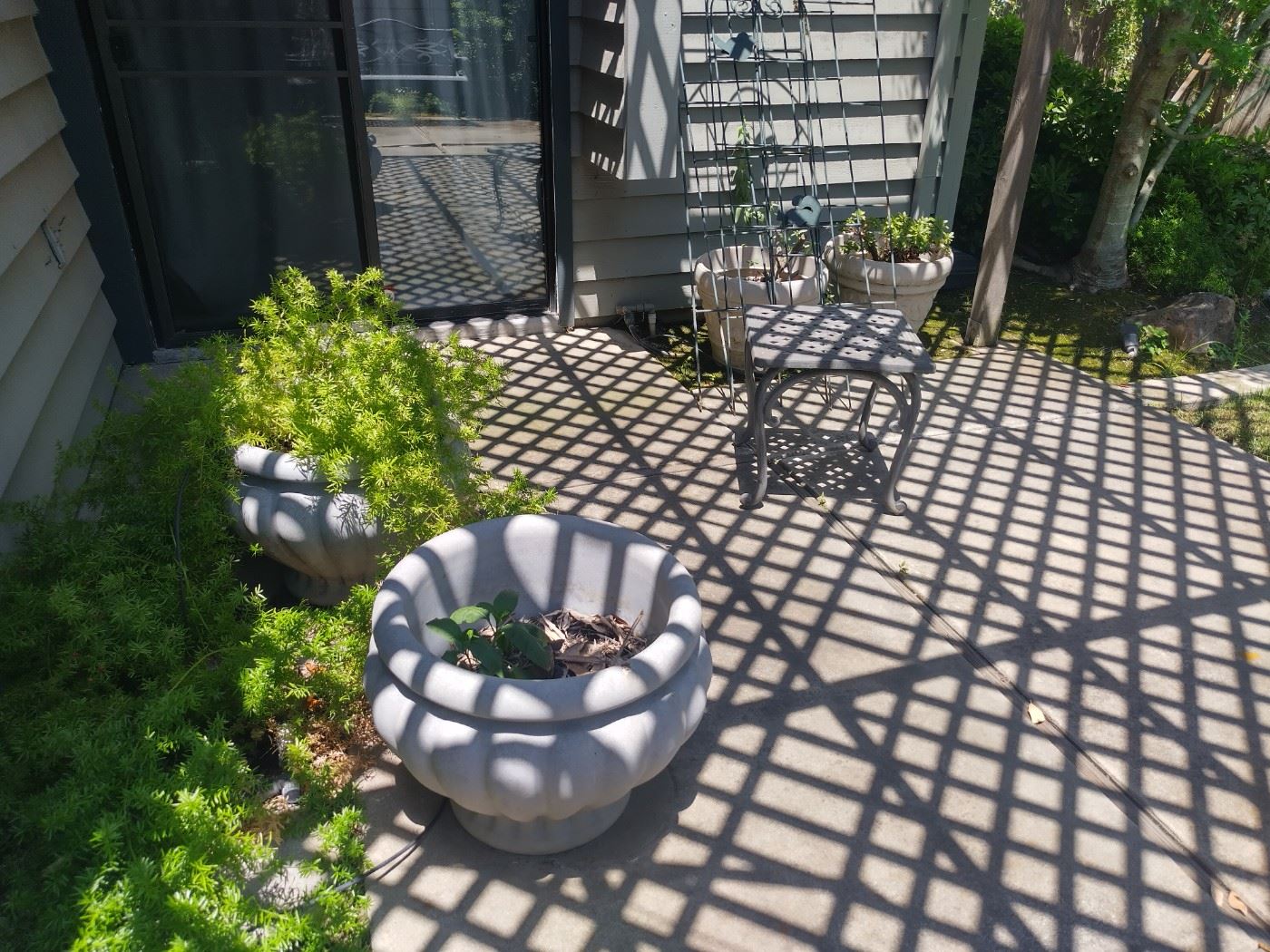 2 Day Lodi Sale starts on 6/16/2023