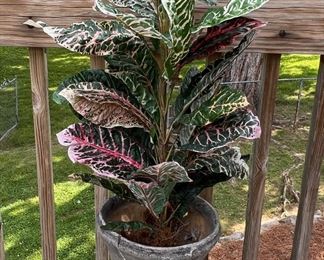 Faux plant in large planter