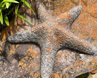 Cement starfish