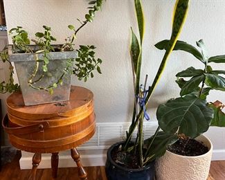 plants and sewing box