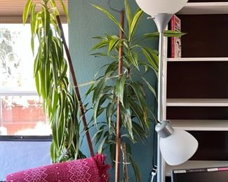 big ol' plant