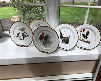 Audubon Plates