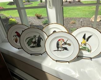 Audubon Plates