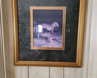 CLASSIC LEOPARD PICTURE