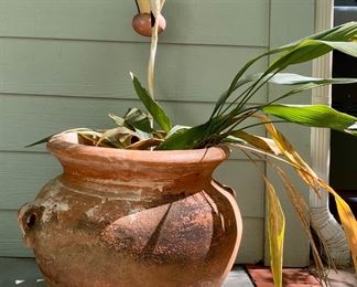 Terra cotta planter