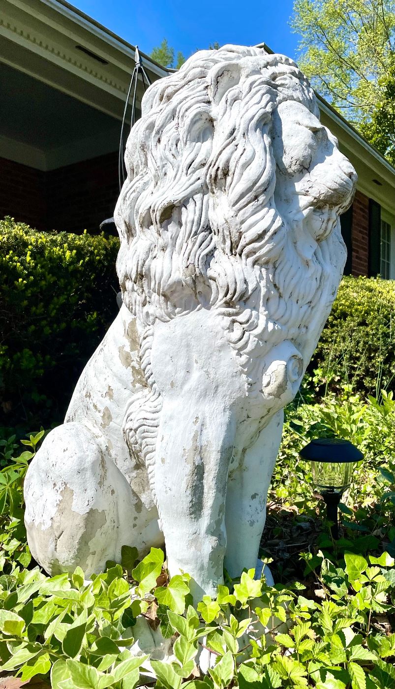 Extra Large and Extra Proud! There are TWO of these fabulous concrete lion sculptures. $2000/PAIR. You will need professional movers! 