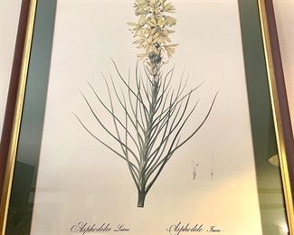 SOLD - Botanical print - 19.5x25