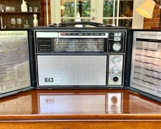 SOLD-Detailed view of world monitor video