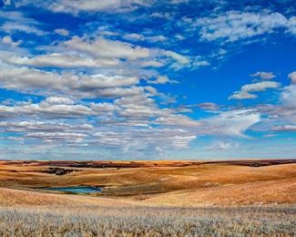 Hutchison, Jean Brown Grasses and Blue Skies in Winter