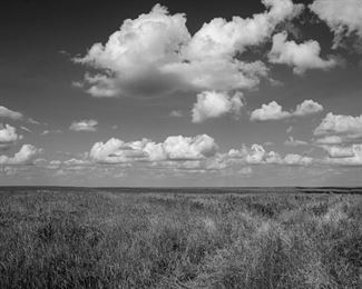 Middleton, Paul Fields With Clouds