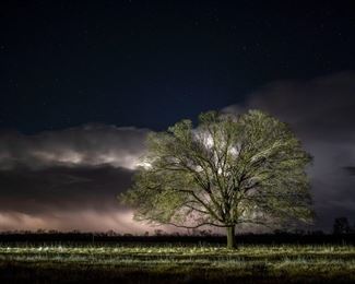 Wilson, Casey Lone Tree and Storm