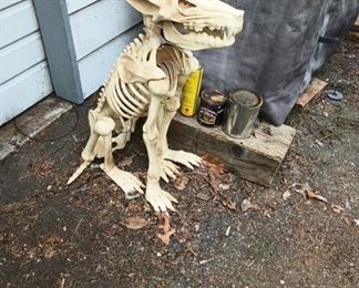 Halloween Decor, Cat Skeleton