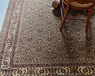 DR Carpet nice condition 