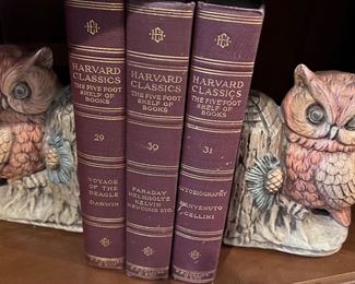 Collectible Owl Bookends