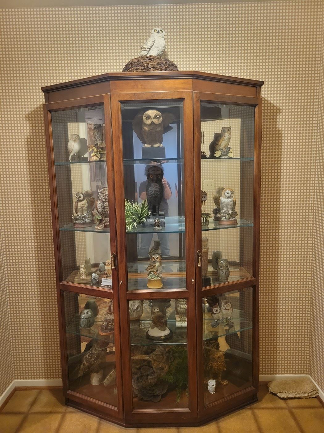 Large Curio Cabinet and Large Collection of Owls