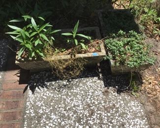 Great Cement Planters
