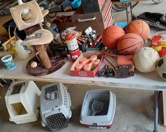 pet supplies, cat towers, pet carrier