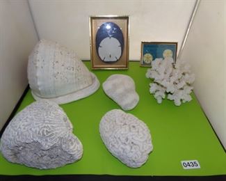 Natural coral specimens