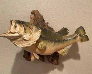 Vintage Bass Fish Mount