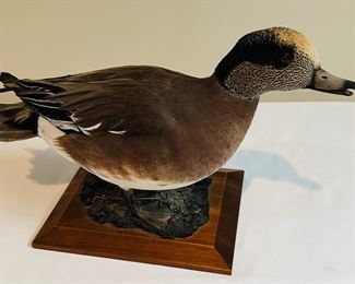 Taxidermy duck mount
