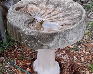 Cement birdbath with shell motif