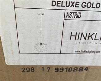 Hinkley Astrid Hanging Light Fixture New in Box 