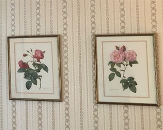 Lots of framed botanical prints 