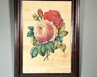 CURRIER & IVES ROSE PRINT  |  Titled “The Rose, in a wood frame.