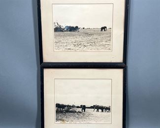 (2PC) SILVER PHOTOGRAPHS OF ELEPHANTS  | Pair of silver gelatin prints shot in Kenya in 1960, each signed with location, date, and photographer, in matching frames - 10 x 7.75 in. (sight).