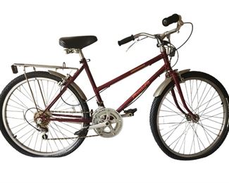 Red PhysioFit Bicycle