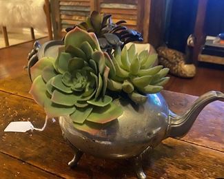 Vintage tea pot with succulents